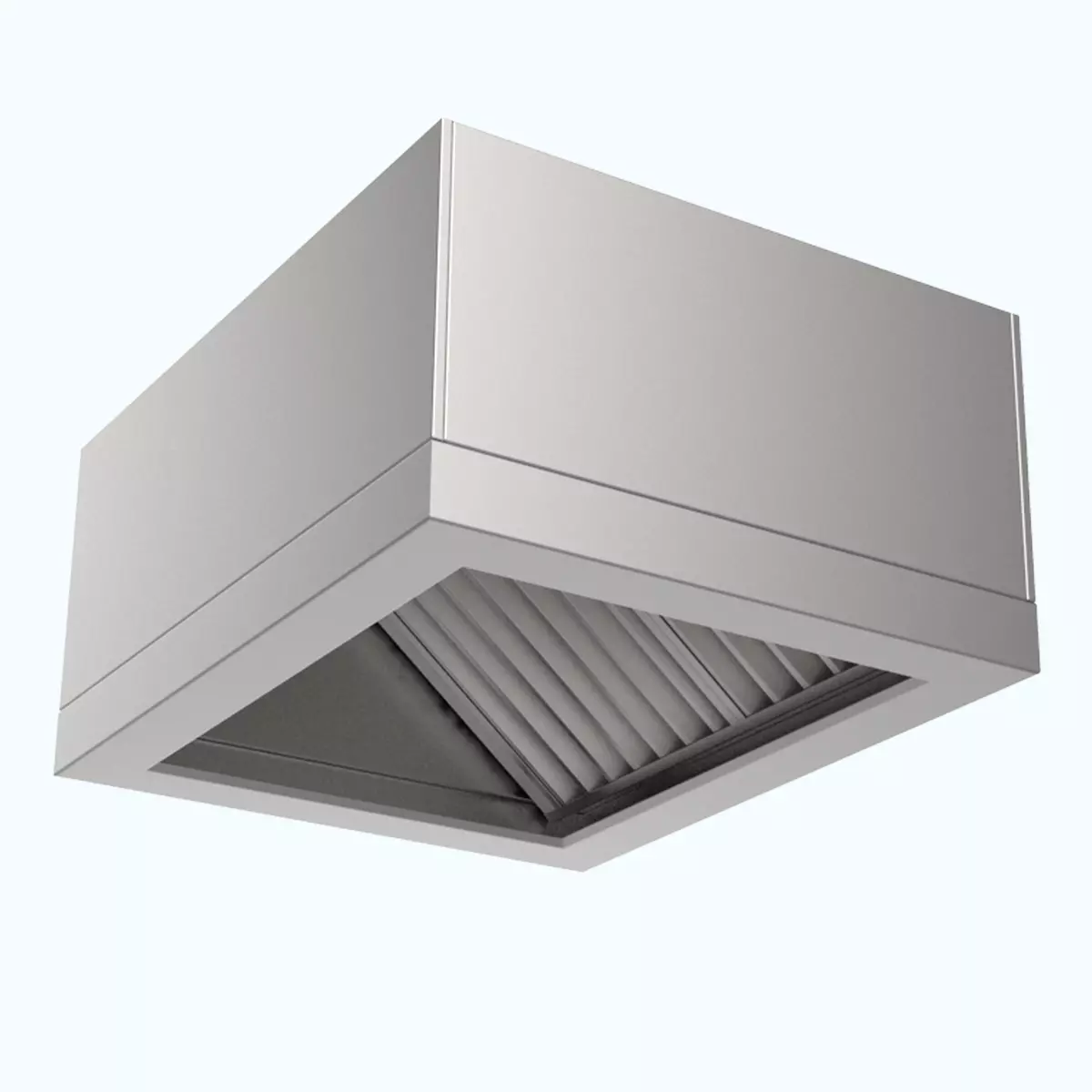Campana Extractora de Acero Inoxidable